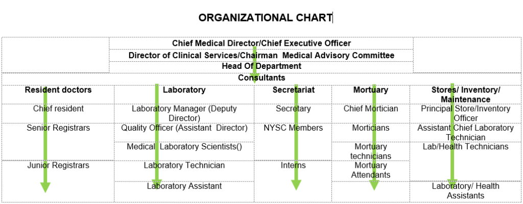 This image has an empty alt attribute; its file name is Histopathology-organizational-chart-1024x400.png